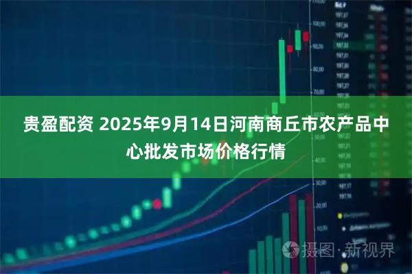 贵盈配资 2025年9月14日河南商丘市农产品中心批发市场价格行情