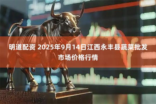 明道配资 2025年9月14日江西永丰县蔬菜批发市场价格行情