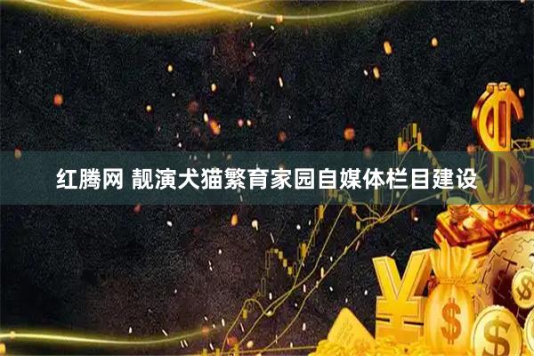 红腾网 靓演犬猫繁育家园自媒体栏目建设