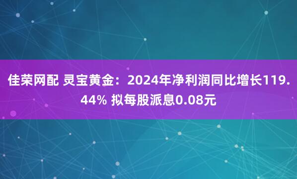佳荣网配 灵宝黄金：2024年净利润同比增长119.44% 拟每股派息0.08元