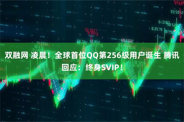 双融网 凌晨！全球首位QQ第256级用户诞生 腾讯回应：终身SVIP！
