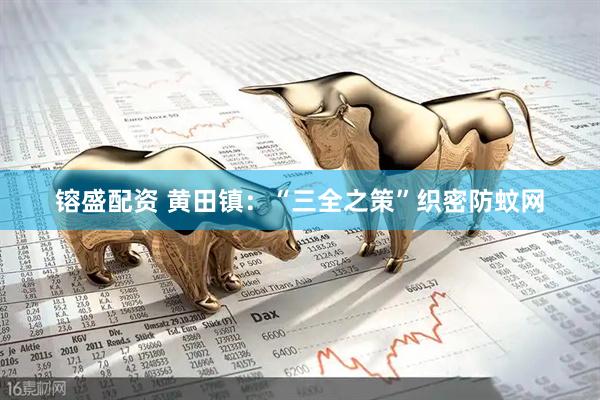 镕盛配资 黄田镇：“三全之策”织密防蚊网